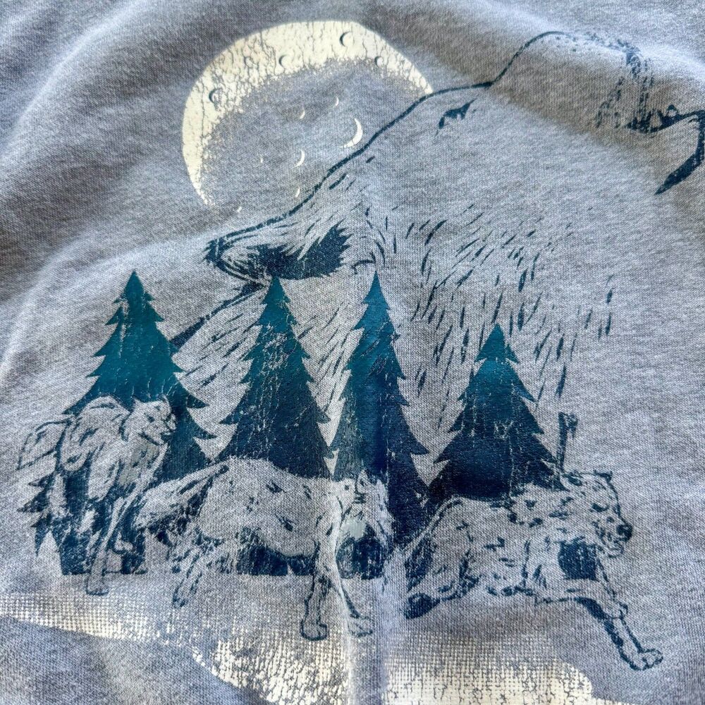 4/$10 - Garanimals Toddler Boys Wilderness Sweatshirt - Picture 3 of 6